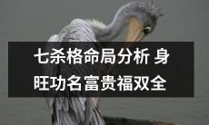 对七杀格命局进行深度剖析：身旺助功名，财源广进，福祉双倍增长