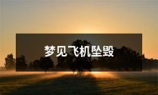 在梦中目睹飞机坠毁的惊魂体验:描绘这个梦境对内心产生的影响及其可能的象征含义