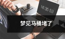 在梦中经历了马桶堵塞的不愉快事件