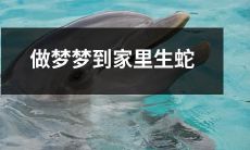 入睡后做梦,想象自己处在家中,却突然发现居所内有毒蛇横行乱窜的惊骇场面