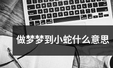 在梦中梦见小蛇究竟代表着什么?