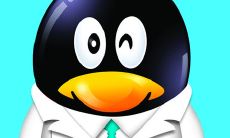 在梦中遇见印度医师：探索神秘的文化交融和古老医学传统