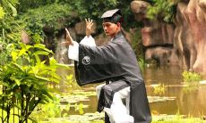 如何在梦中与道士、道人和施道者相遇和交流的技巧和经验分享