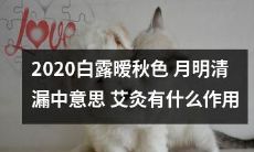 2020年白露时节的暧秋色中，月色透过清漏显意蕴，你知道艾灸能为身体带来哪些益处吗？