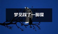 做梦时经历踩到一脚粑粑的糟糕感受：如何解读并应对这种梦境？