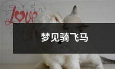 在梦中体验着飞驰在高空上的极致快感——梦见骑乘翱翔天际的神奇飞马！