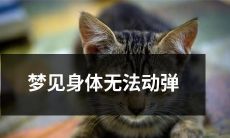 夜晚的梦境：身体如同定格，难以自如运动！