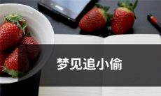 在梦境中追逐小偷：当睡眠与现实合二为一时发生的追赶场景