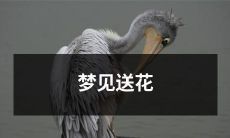 梦中见到别人送我鲜花，引发情感共鸣和未知预兆的奇幻体验