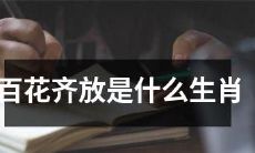 哪些属相代表了多样化和创造性的多元社会趋势？