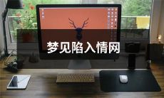 在梦中沉溺于爱情之网:探寻心灵深处的缠绕与执念