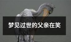 梦中重逢世逝亡父亲,他欢笑着与我相见