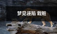 的噩梦：被错误指控和恶意陷害的梦境体验