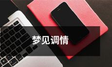 突然醒来，发现自己梦见了与某人调情的情景，既兴奋又困惑，不知道该怎样理解和面对这个梦境