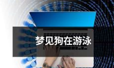 今晚我做了一个奇妙的梦，梦见一只可爱的小狗在清澈的湖水里尽情地游泳，让人心旷神怡！