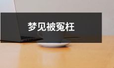 错案背负：梦见被冤枉并受到不公正对待的痛苦体验