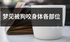 详细描述梦见身体各部位被狗咬的情景和意义