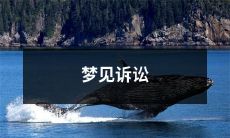 在梦中遭遇诉讼的情景：究竟代表着什么深层含义？