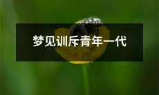 在梦中遭遇谴责，仿佛受到来自年轻一代的斥责与警醒
