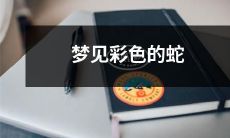 我做梦时见到一条缤纷多彩的蛇，异常真实且令人惊异