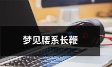做梦梦见自己腰间悬挂长长鞭子，一鞭能挥飞百里，犹如神仙般的奇妙体验