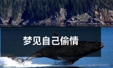 做了一个梦，梦见自己在偷情，陷入深深的道德困境与情感纠葛中！