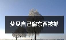 在梦中经历：我窃取物品、被发现并逮捕的梦境