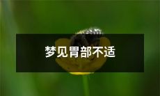 在梦中经历胃部不适的情况，引起担忧和焦虑的可能原因及应对方式