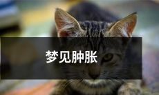 如何解读梦见身体肿胀的隐含寓意及其对应的精神状态?