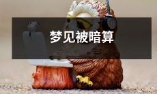 在睡梦中被陷害:一场意想不到的暗算之梦