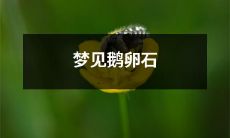 在梦中看到了鹅卵石，仿佛置身于宁静的河滩之上，清澈的水流和平静的天空交相辉映，让人感受到一份难以言喻的宁和静谧