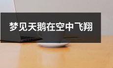 今夜梦见白色天鹅在宁静的空中飞翔，翅膀扇动的声音如同天籁之音