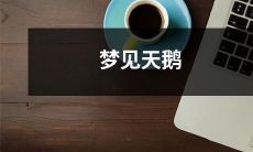 在梦中遇见了优美的白天鹅：从梦境中探究天鹅的符号含义