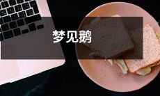 在梦中看到优美白鹅：东方文化中鹅代表着什么？