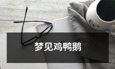 梦中遇见鸡鸭鹅,探究其中暗含的象征意义和心理学解读