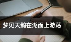 我在梦中目睹了一幅壮美画面——天鹅优雅地在宁静的湖面上游荡