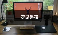 在梦中遇见黑色的猫咪,这一幕会给你带来什么含义?