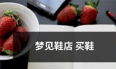 在梦中到鞋店购鞋的奇妙体验：着眼于梦境中的鞋店、搜索适宜的鞋款、考虑购买的动机以及最终达成的成就感