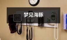 在梦中遇见海豚：探究潜意识中海洋与自我意识的交汇点