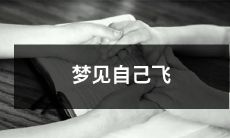 越过彩虹，飞上云端：我梦见自己翱翔苍穹