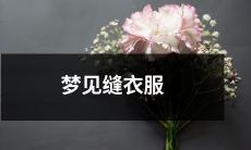 在梦中体验修补衣物的技艺：梦见缝制衣服与裂口的经历