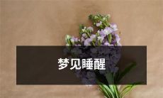 有关梦境与现实的转变：当梦境逐渐消散，睡眠醒来后的感悟与思考