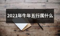 2021年农历牛年，根据五行学说，该属于哪个五行属性？