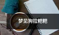 做梦时看到狗狗排便的场景——生动而令人印象深刻的一幕