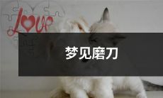 的寓意是什么？解析梦境中磨刀意象的意义和引申意义