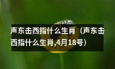 4月18号的讨论：声东击西这个成语意指哪个生肖？