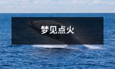 在梦中点燃火焰：一个充满神秘色彩的梦境体验