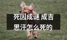 历史谜题：究竟是什么导致成吉思汗的死亡原因成为了无法解开的谜团？