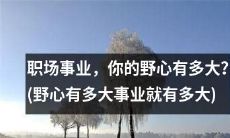 你的职场野心决定着事业的规模：尺寸与幸福程度有关