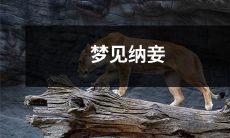 透露你内心深处想要拥有爱情和性爱之间的完美平衡的梦境：梦见纳妾